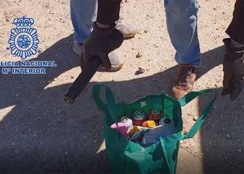 Detenidos 21 grafiteros que causaron daños valorados en más de 750.000 euros y que actuaron en la estación de Guadalajara
