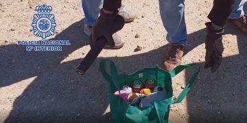 Detenidos 21 grafiteros que causaron daños valorados en más de 750.000 euros y que actuaron en la estación de Guadalajara