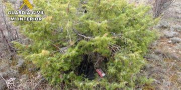 Detenidos dos cazadores furtivos que intentaron atropellar a dos guardas en un coto de Torremocha del Campo