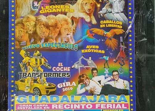 Ecologistas en Acción denuncia la actuación de un circo con animales en Guadalajara