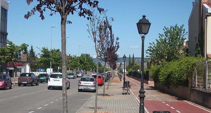 El Ayuntamiento de Cabanillas sustituye árboles enfermos y que generan destrozos por nuevos ejemplares