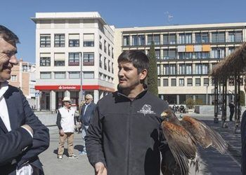 El Ayuntamiento de Guadalajara continúa con el plan de control de proliferación de aves en la ciudad para reducir sus molestias
