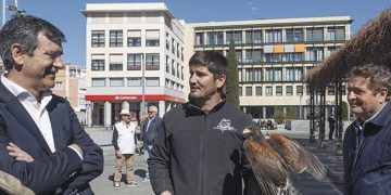 El Ayuntamiento de Guadalajara continúa con el plan de control de proliferación de aves en la ciudad para reducir sus molestias