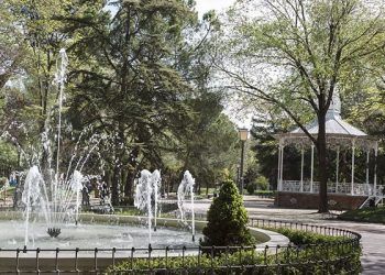 El Ayuntamiento de Guadalajara recuerda la prohibición de colocar propaganda electoral en el arbolado de la ciudad El Ayuntamiento de Guadalajara recuerda la prohibición de colocar propaganda electoral en el arbolado de la ciudad