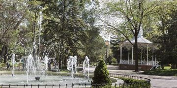El Ayuntamiento de Guadalajara recuerda la prohibición de colocar propaganda electoral en el arbolado de la ciudad