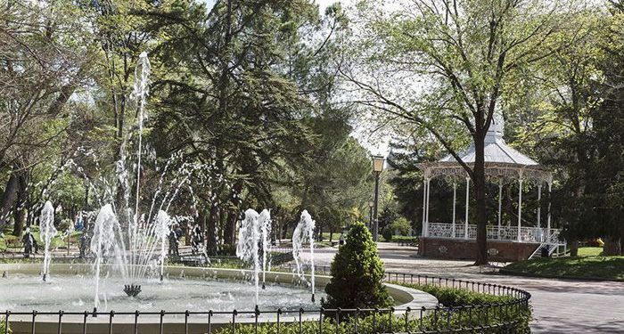El Ayuntamiento de Guadalajara recuerda la prohibición de colocar propaganda electoral en el arbolado de la ciudad