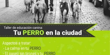 Guadalajara vuelve a acoger el 27 de abril, un nuevo taller de educación canina