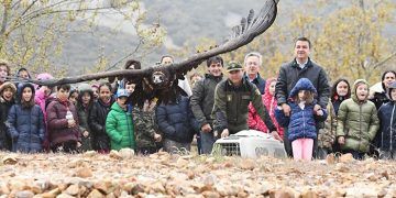 La Junta traslada a los escolares la importancia de preservar en la región la biodiversidad y las especies vulnerables como el buitre negro