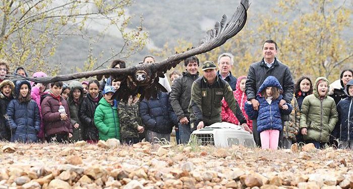 La Junta traslada a los escolares la importancia de preservar en la región la biodiversidad y las especies vulnerables como el buitre negro