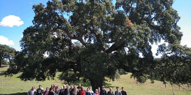 Bosque de oportunidades, un proyecto que formará a unas 150 personas sobre el medio natural y el sector forestal en la provincia de Guadalajara Bosque de oportunidades, un proyecto que formará a unas 150 personas sobre el medio natural y el sector forestal en la provincia de Guadalajara