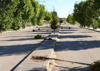 El Ayuntamiento de Cabanillas pide colaboración para atrapar a los vándalos que han arrancado una decena de árboles recién plantados