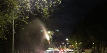 El Ayuntamiento de Guadalajara declara la guerra a los mosquitos y  otros insectos