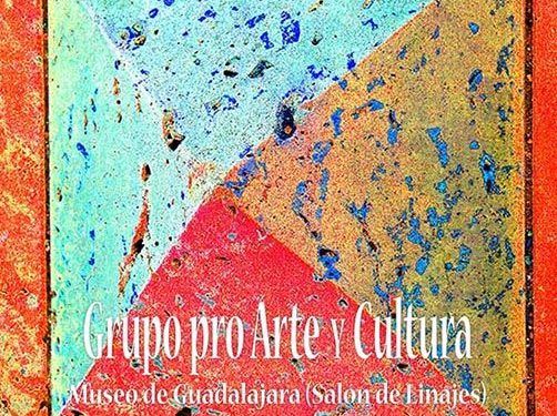 El Museo provincial de Guadalajara acoge la exposición temporal “Freedom Art” del grupo artístico “pro Arte y Cultura”