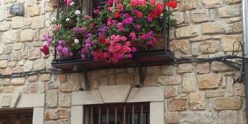 Sigüenza busca su rincón florido más bonito