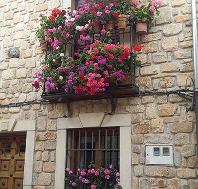 Sigüenza busca su rincón florido más bonito