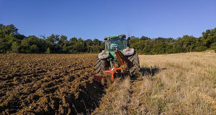 Unión de Uniones cree que el sector agrario debería tener una aplicación diferenciada del registro de la jornada laboral