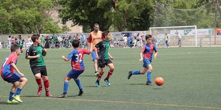 500 futbolistas de 32 equipos han competido este fin de semana en la VI Sigüenza Cup