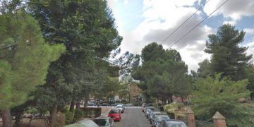 Cae un pino piñonero de grandes dimensiones sobre tres vehículos en la Ronda de San Antonio de Guadalajara