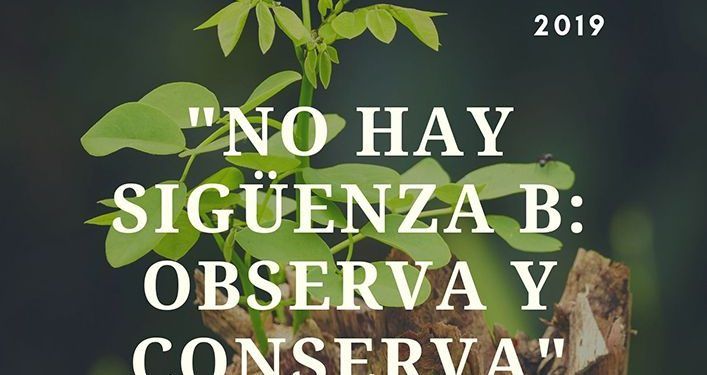 Completo programa del CIJ “La Salamandra” en junio
