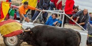 Ecologistas en Acción de Guadalajara pide a los ayuntamientos de la provincia que no celebren sus fiestas patronales con maltrato animal