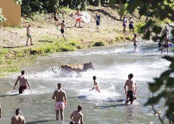 El regreso de las Vacas por el Tajo, el Tobogán Gigante XXL y un tributo a ABBA, platos fuertes de la Feria Chica trillana