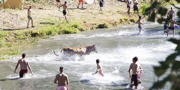 El regreso de las Vacas por el Tajo, el Tobogán Gigante XXL y un tributo a ABBA, platos fuertes de la Feria Chica trillana