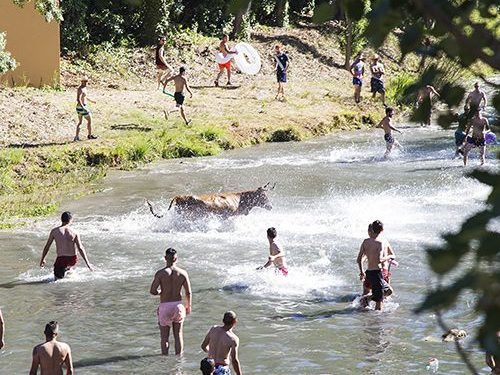 El regreso de las Vacas por el Tajo, el Tobogán Gigante XXL y un tributo a ABBA, platos fuertes de la Feria Chica trillana El regreso de las Vacas por el Tajo, el Tobogán Gigante XXL y un tributo a ABBA, platos fuertes de la Feria Chica trillana