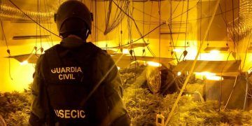 La Guardia Civil desmantela una macro plantación de marihuana en un garaje de Pioz