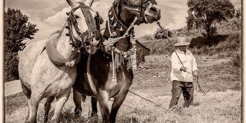 Riba de Saelices se viste como antaño por cuarta edición