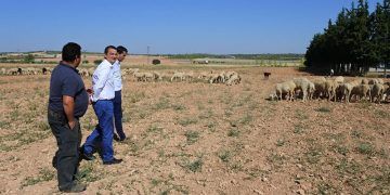 El Gobierno regional abona hoy 6,7 millones de planes de mejoras para las explotaciones de 200 profesionales de la agricultura y la ganadería