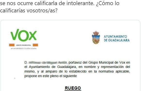 El Grupo Municipal de Vox en el Ayuntamiento de Guadalajara anuncia acciones legales contra el Grupo Unidas Podemos  por “revelación de documento público”
