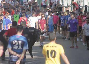 Encierro por la plaza y la calle Valdemoma, con dos novillos que dieron juego desigual en Cabanillas Encierro por la plaza y la calle Valdemoma, con dos novillos que dieron juego desigual en Cabanillas