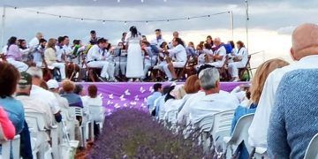 La Banda de Música de Brihuega toca en un jardín de flores
