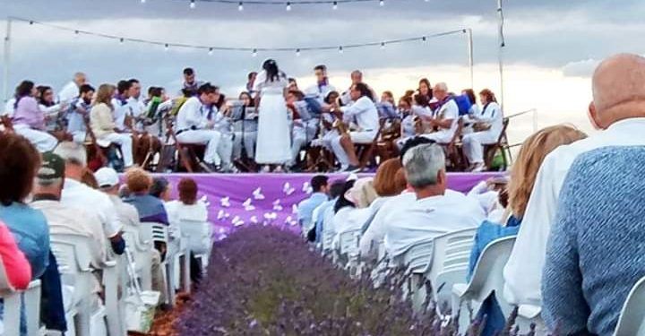La Banda de Música de Brihuega toca en un jardín de flores