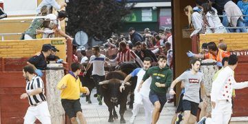 El Ayuntamiento de Guadalajara convoca un concurso para elegir el cartel anunciador de las Ferias y Fiestas  2019