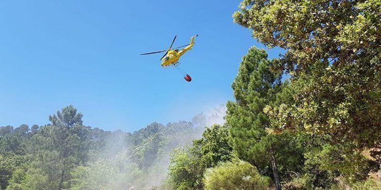 Guadalajara arde: incendios en Monasterio, Tamajón y Tortuero