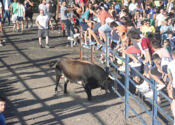 Encierro, caldereta, circo y fuegos artificiales para despedir las Fiestas 2019 de Cabanillas Encierro, caldereta, circo y fuegos artificiales para despedir las Fiestas 2019 de Cabanillas