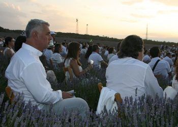 José Luis Vega: “Brihuega y la lavanda han puesto a nuestra provincia en el escaparate del turismo internacional”