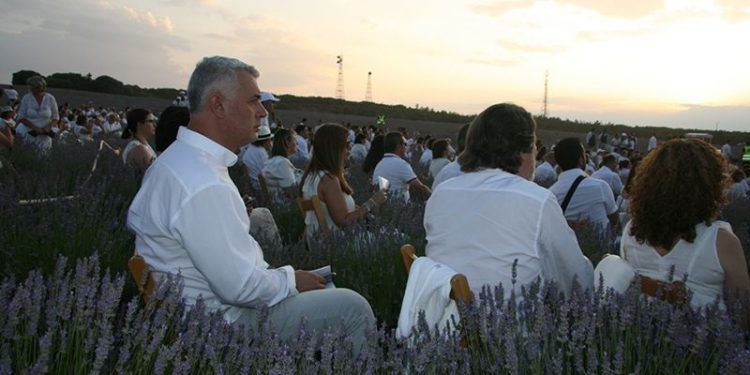 José Luis Vega: “Brihuega y la lavanda han puesto a nuestra provincia en el escaparate del turismo internacional”