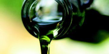 Unión de Uniones duda que la autorregulación en el aceite beneficie al agricultor si no se equilibra la cadena alimentaria