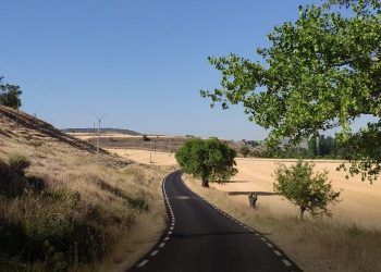 La Diputación ejecuta el refuerzo de la carretera GU-207, en Armuña de Tajuña