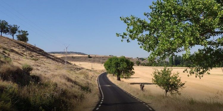 La Diputación ejecuta el refuerzo de la carretera GU-207, en Armuña de Tajuña