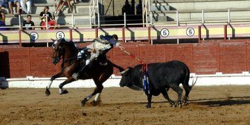 Cinco orejas y dos rabos en el festejo de rejones de Sigüenza