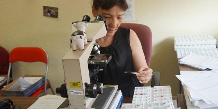 El SESCAM recibe cinco ayudas de la Acción Estratégica en Salud del Plan Estatal de Investigación Científica y Técnica y de Innovación