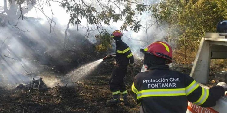 Controlado el incendio en Brihuega aunque aún luchan contra el fuego 10 medios y 42 personas