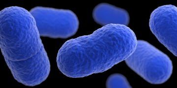 La Junta eleva a 11 los casos probables por contagio de listeriosis de la carne de marca “La Mechá” de los que cuatro serían en Guadalajara y tres en Cuenca