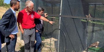 La Junta respalda la recuperación de aves rapaces en la región