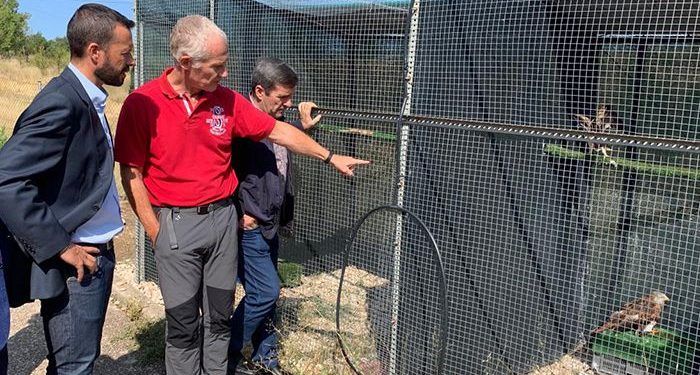 La Junta respalda la recuperación de aves rapaces en la región