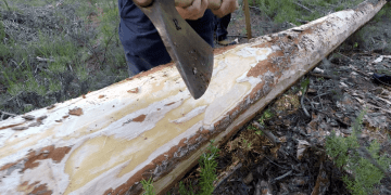 Documental. Maderada en el río Cuervo