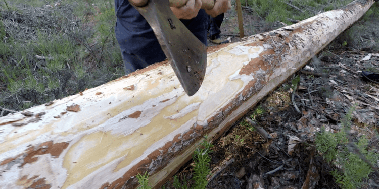 Documental. Maderada en el río Cuervo